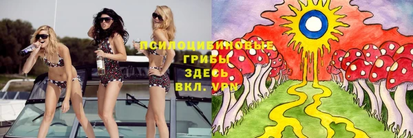 спайс Белокуриха